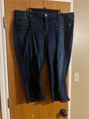 Lane Bryant Dark Blue Plus Size Stretch Jeans Capris